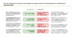 Challenges to multilevel insurance plans