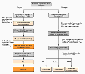 Figure 1_344x300