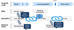 IP11_Multinational HTA_Figure 2