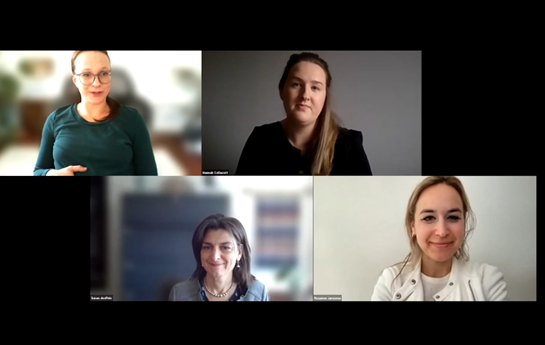 Applications of Discrete Choice_Figure Applications of Discrete Choice_Figure