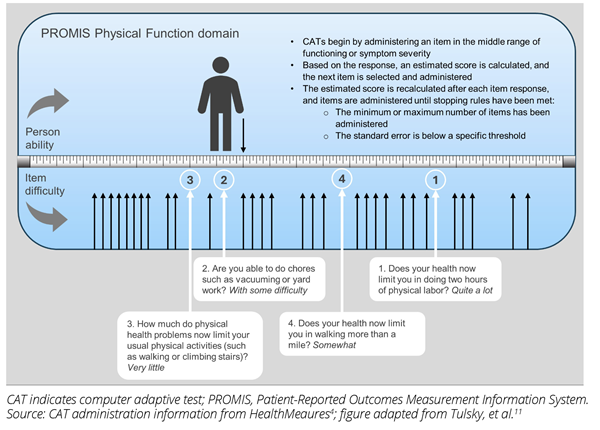 Protz_fig1 Protz_fig1